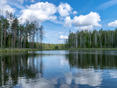 beautiful lake view, beautiful sky, Calm lake reflection against the blue sky with white clouds, Valdis lake, Turna, Latvia
