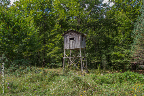 Hidden observation tower in the forest photo © rafo
