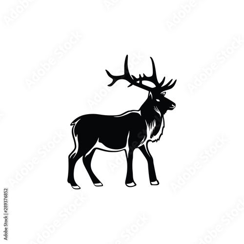 Deer elk moose logo vector. strong gentle elegant abstract look brand line art with light hand drawn vintage for icon profile photo adventure outdoor hunt cloth apparel classic old studio photo video. © Faris