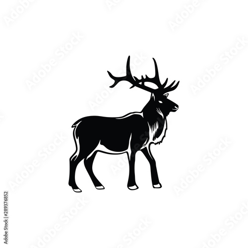 Deer elk moose logo vector. strong gentle elegant abstract look brand line art with light hand drawn vintage for icon profile photo adventure outdoor hunt cloth apparel classic old studio photo video.