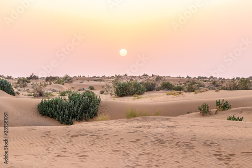Принти на полотні Desert in India near Jaisalmer, the yellow city