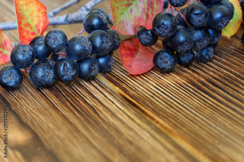 Free space on the photo with a branch of chokeberry lying on natural pine boards. The counter of the farm fair. New crop. Close-up photo