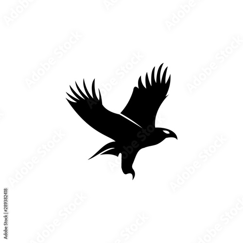 bird, flying, fly, flight, silhouette, eagle, wings, wing, animal, white, black, illustration, nature, birds, peace, crow, feathers, angel, freedom, isolated, wildlife, dove, feather