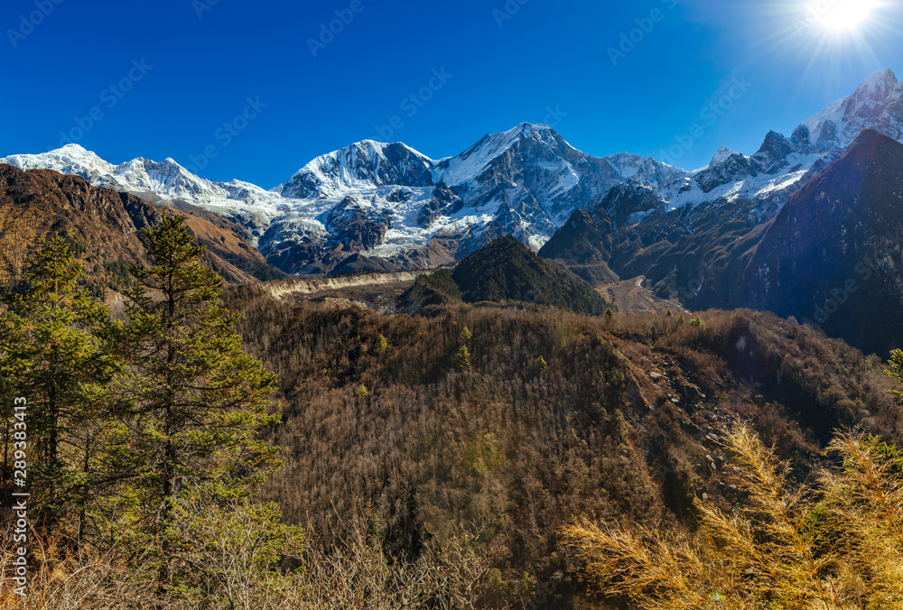 Snow covered mountain peaks and green forest in foreground in Himalayas,  Nepal.