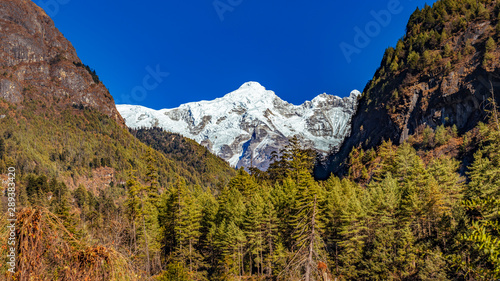 Snow covered mountain peaks and green forest in foreground in Himalayas, Nepal.