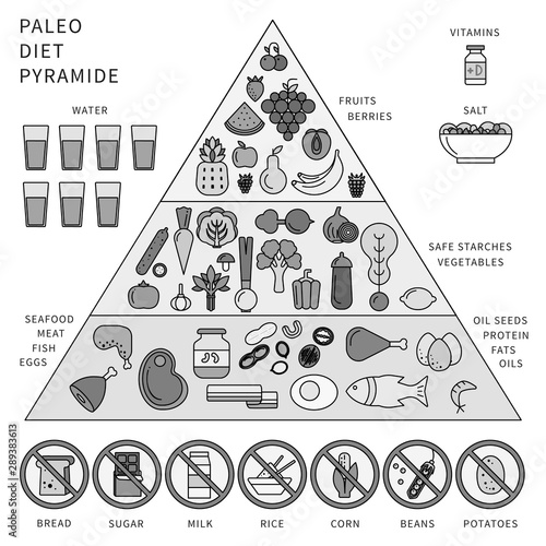 Paleo diet pyramid on white. Line monochrome vector illustration.