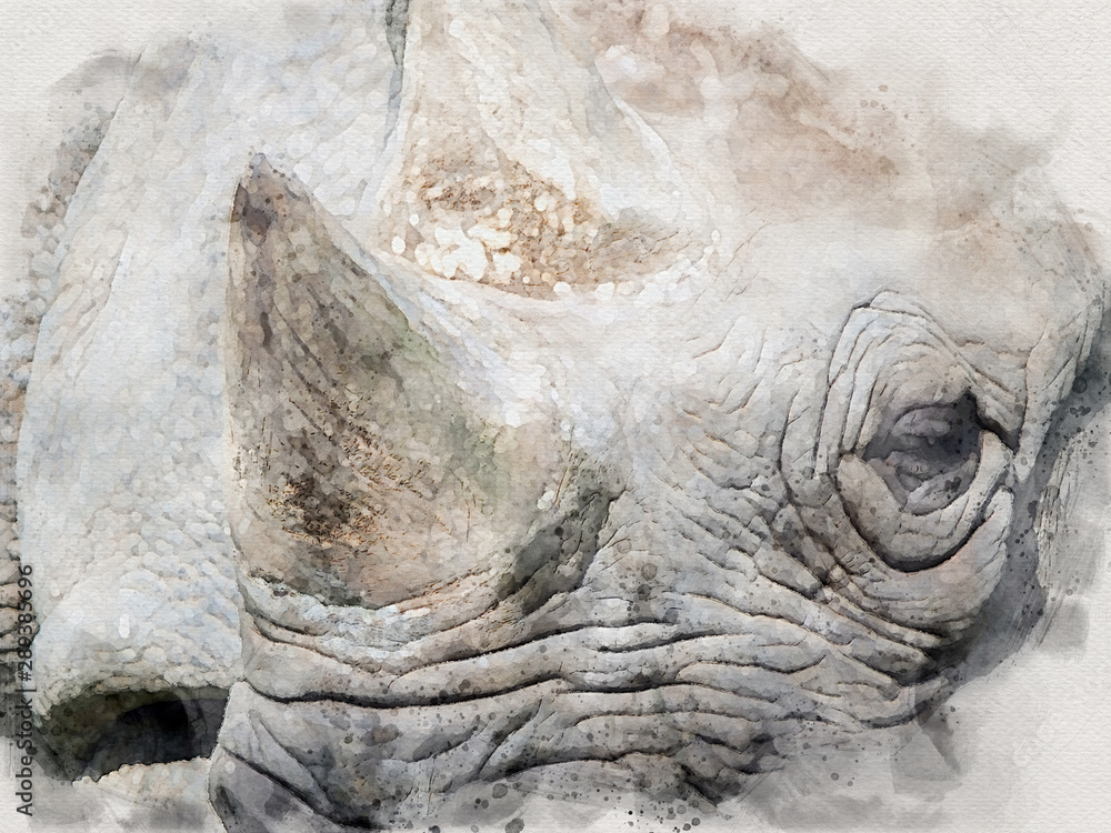 Obraz premium Watercolor portrait of the face of a black rhinoceros 