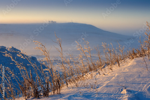 Winter arctic landscape. Snowy slopes of hills. Grass sways in the wind. Cold windy weather. Frosty fog. The nature of Chukotka. Far East of Russia. Extreme North.
