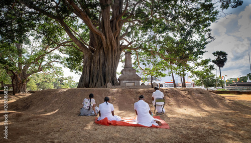 Four women praying under the Bodhi tree, © siewwy84