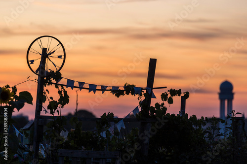 Photography urban gardens at tempelhofer feld airport berlin germany
