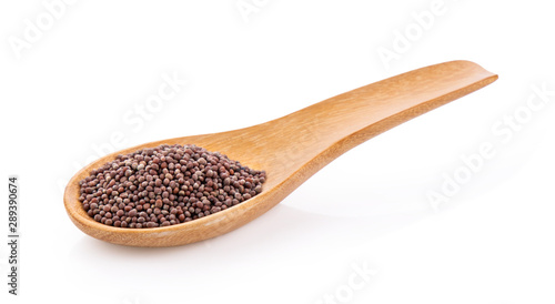 mustard seeds in wood spoon  isolated on white background