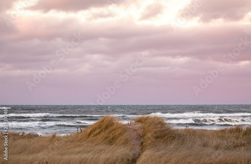 Fototapeta Naklejka Na Ścianę i Meble -  Beach Dune