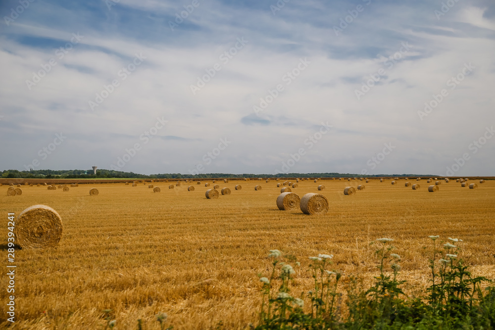 Hay rolls in a field in the Normandy region of France