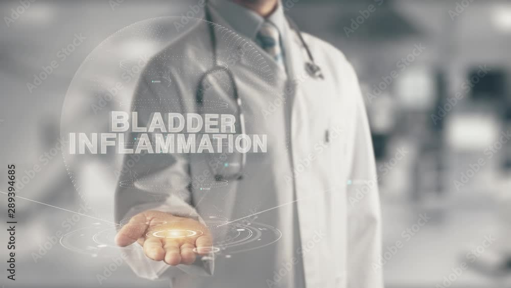 Doctor holding in hand Bladder Inflammation Doctor holding in hand Bladder Inflammation