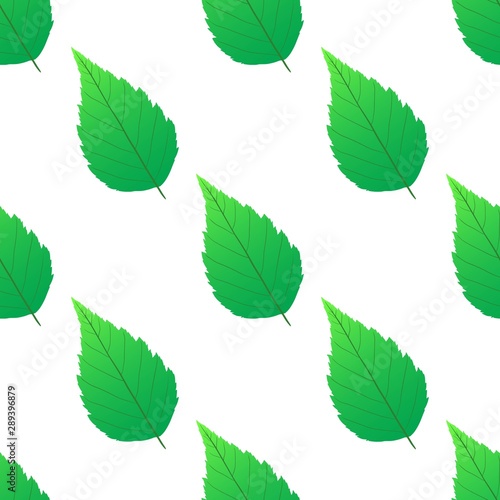 green leaf seamless pattern vector. leaf seamless pattern illustration © Qbertstudio