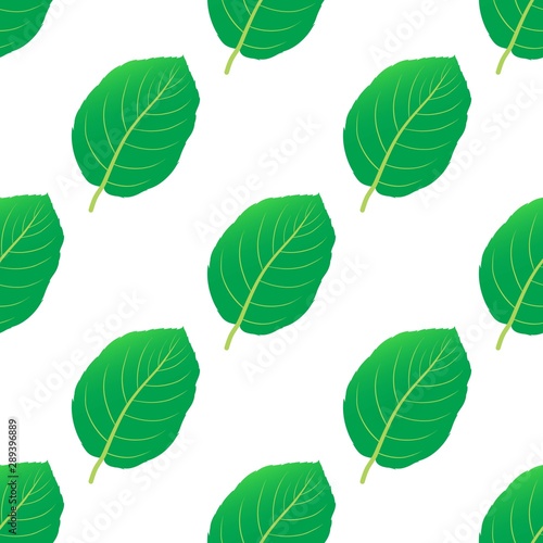hornbeam leaf seamless pattern vector