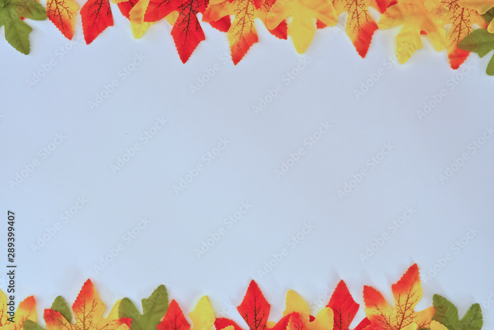 Fototapeta ]Colorful maple leaves on white background. Happy Autumn
