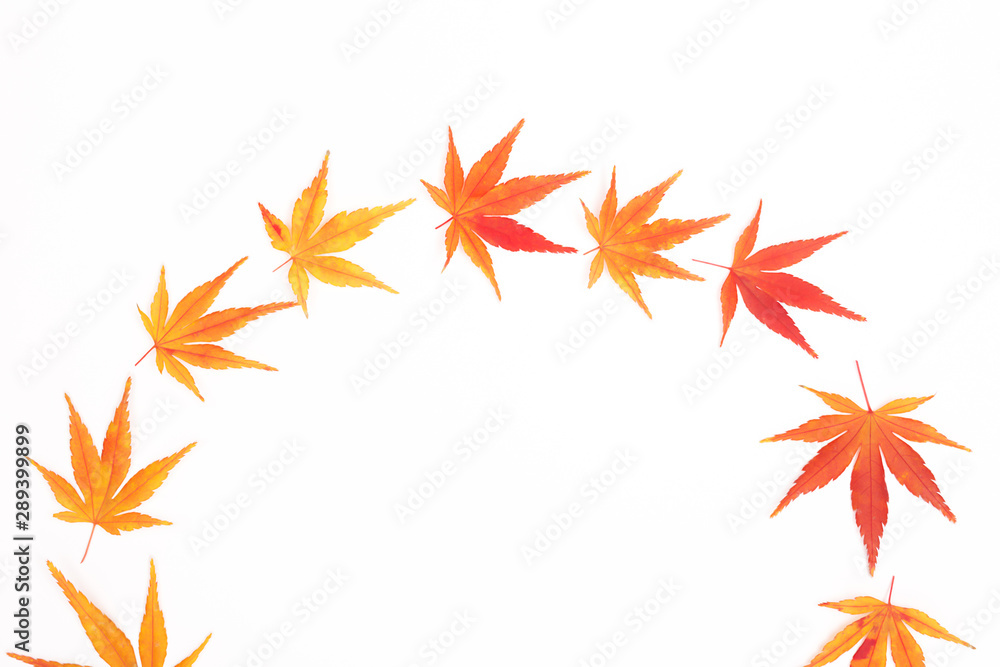 Half wreath made from Japanese maple leaves. Hello autumn concept. Half wreath made from Japanese maple leaves. Hello autumn concept.