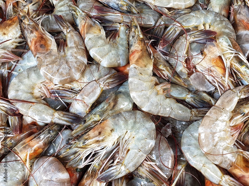Close up banana shrimp for sale in Bangkok Fresh Market . Fenneropenaeus merguiensis
