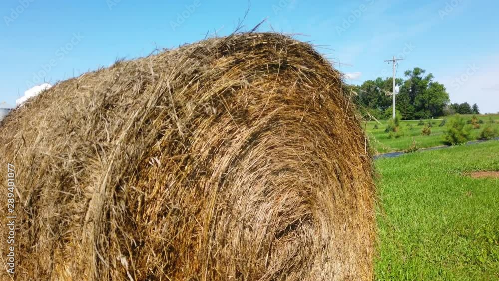 close shot of hey bale in farm. close shot of hey bale in farm.