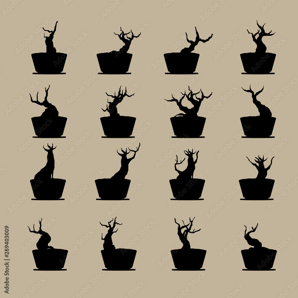 set of bonsai tree in pot, plant silhouette icons on background. set of bonsai tree in pot, plant silhouette icons on background.