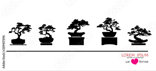 set of Bonsai, Black silhouette of bonsai. Detailed image. Vector illustration. Decorative arts. Mini tree in pot. Dwarf tree decoration art.   photo