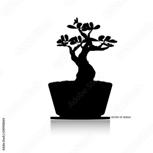 Bonsai tree, Black silhouette of bonsai. Detailed image. Vector illustration. Decorative arts. Mini tree in pot. Dwarf tree decoration art.  