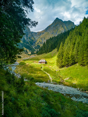 Wooden house in the middle of a mountainous landscape with forest and grass, Romania, Arges