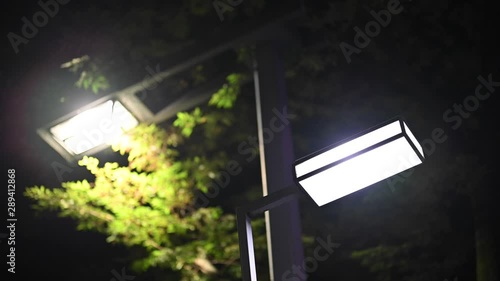 蝉の鳴き声と夏の街灯