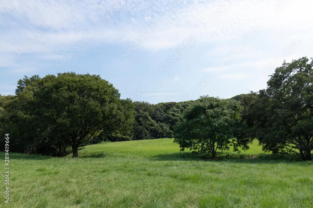 公園 公園