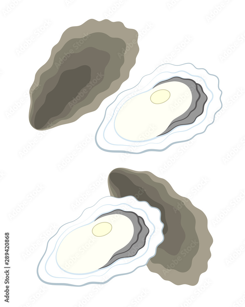 牡蠣 イラスト Stock 일러스트레이션 Adobe Stock