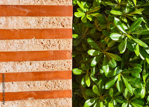 Natural stone wall ornament...
