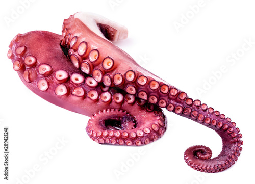 Quadro em tela Tentacles of octopus isolated on white background