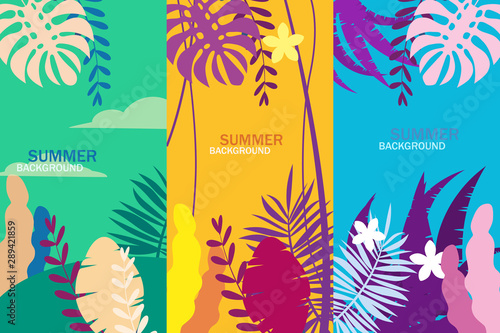 Set summer tropical template backgrounds stories with palms, sky and sunset