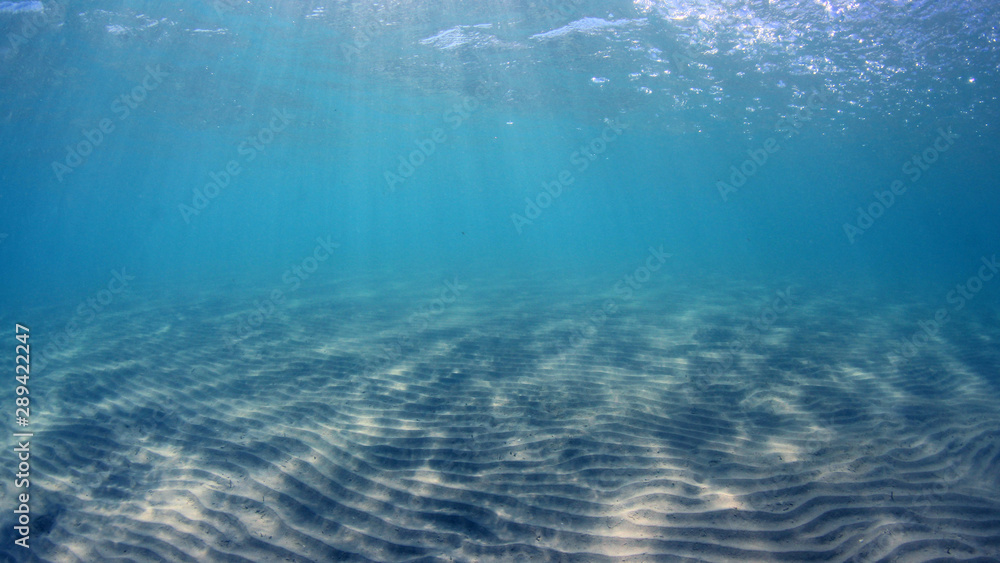 Fototapeta premium Blue ocean background 