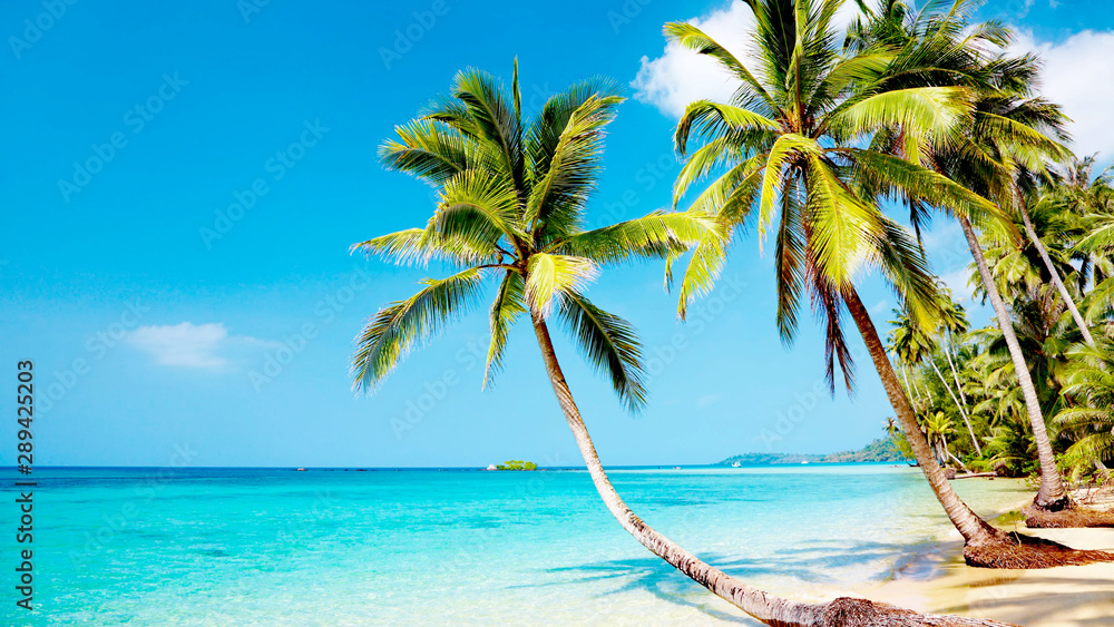 Fototapeta premium tropikalna plaża z palmami