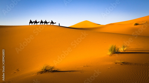 Sahara Desert