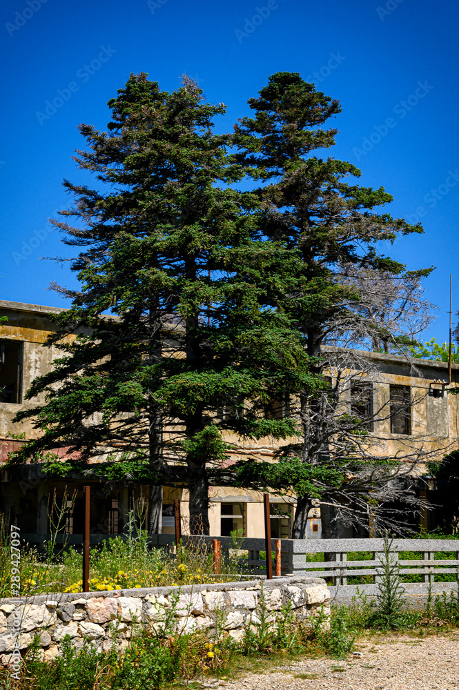 Fototapeta premium Abandoned building on Goli otok, political prison in ex Yugoslavia