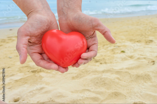 Εκτύπωση καμβά Two Hand holding The Heart shape on white background