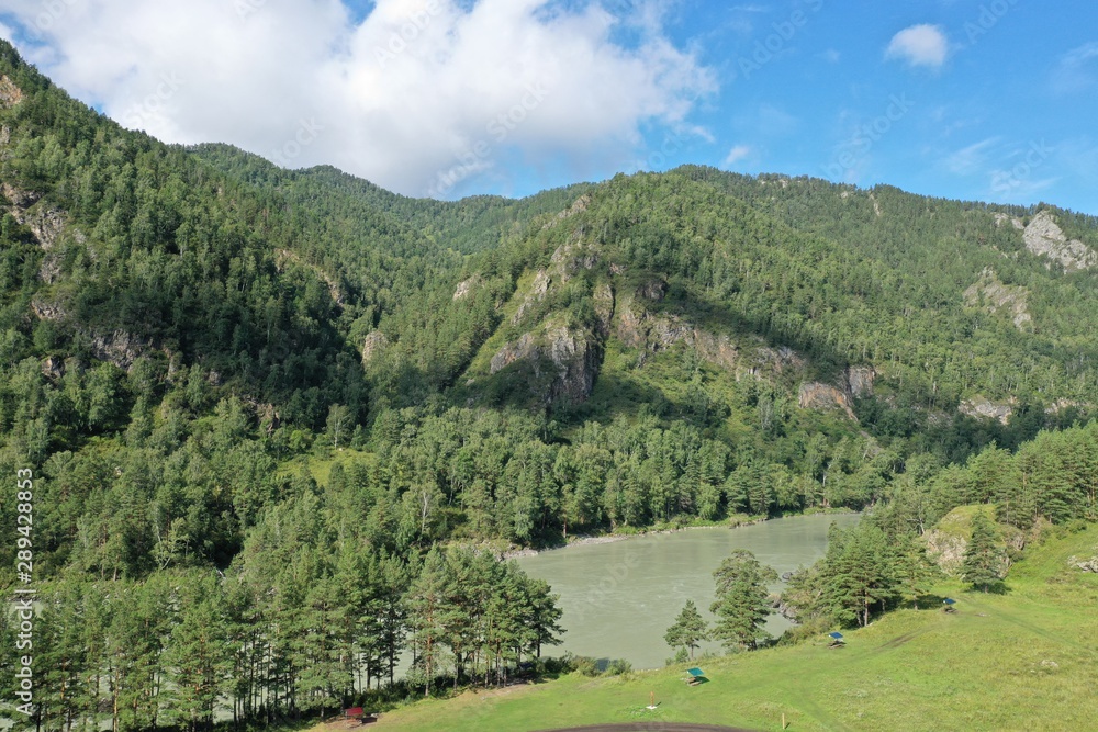 forest by the river and mountain, Altai Republic, Russia, August summer month forest by the river and mountain, Altai Republic, Russia, August summer month