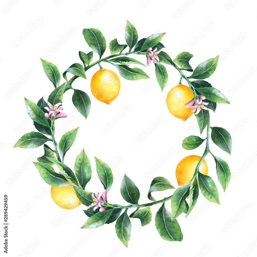 Lemon tree branches wreath. Isolated round frame with citrus fruit. Package design. Place for text.