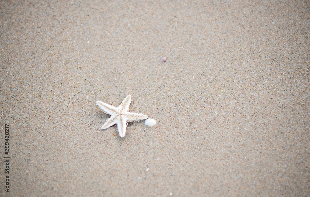 Blue starfish being washed waves on the beach beautiful dawn Blue starfish being washed waves on the beach beautiful dawn