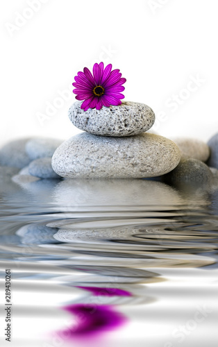 Pebble Stone Cairn With Flower And Water