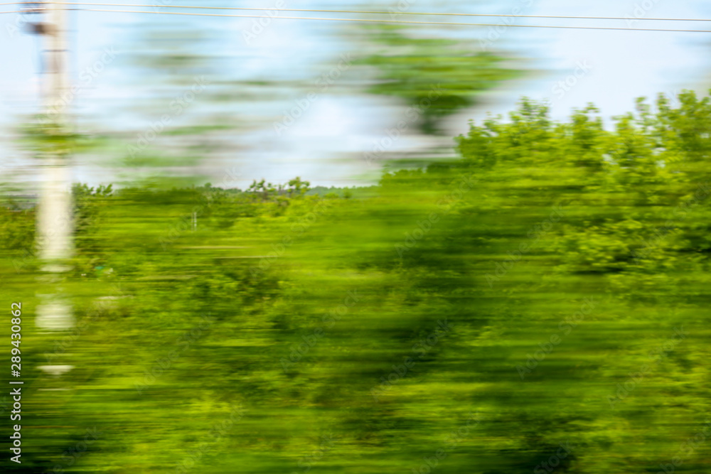 Green nature in summer in motion Green nature in summer in motion