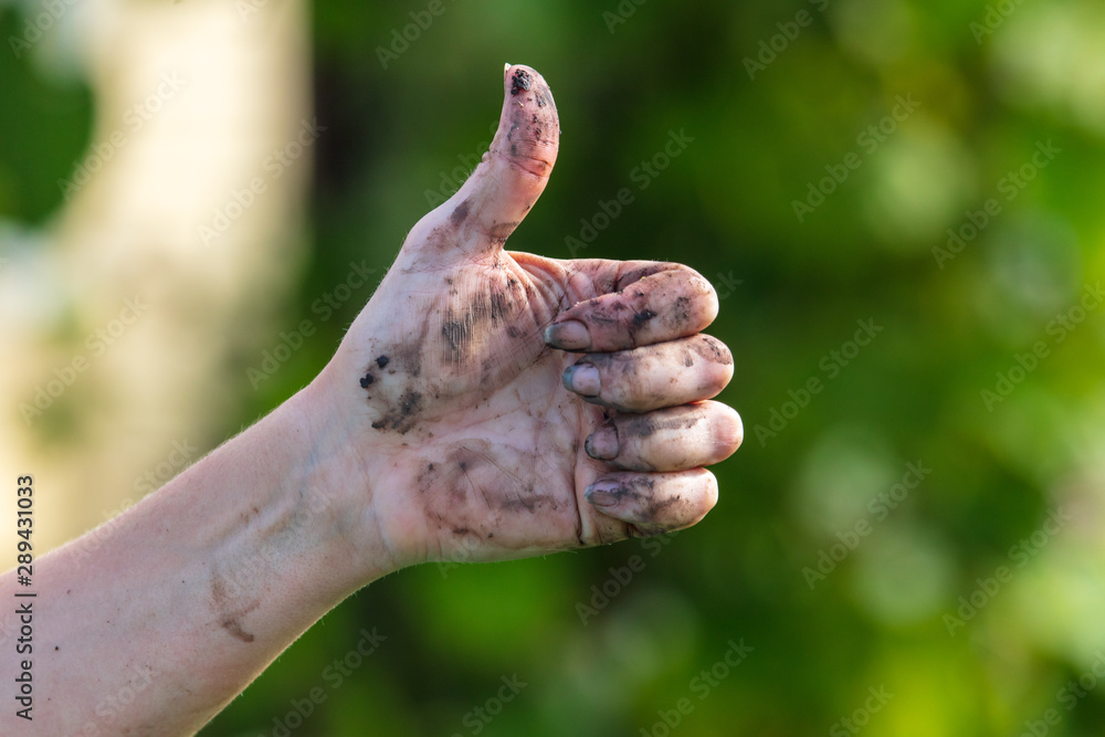 Hand in black dirt ground on nature Hand in black dirt ground on nature