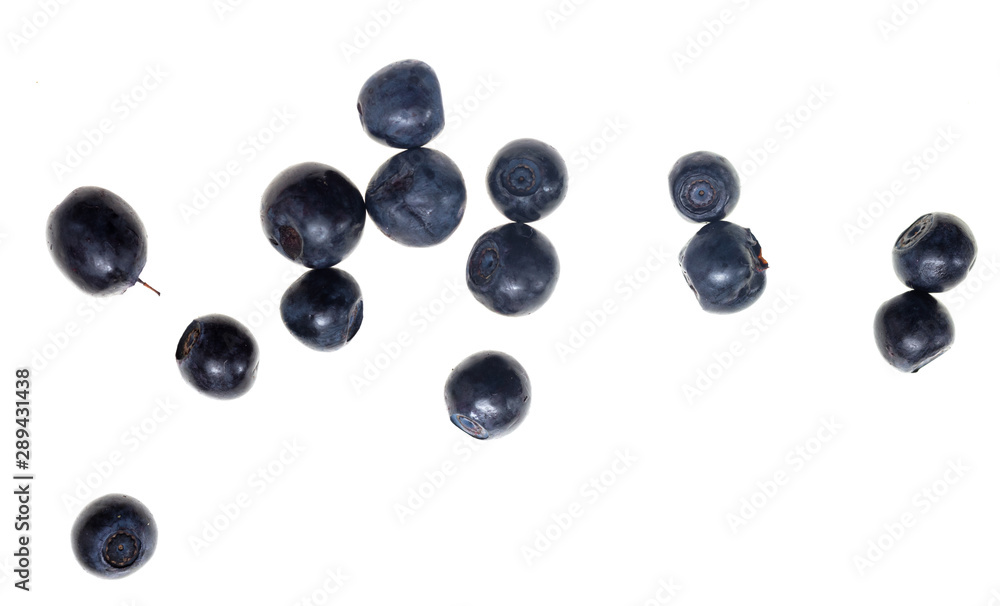 Ripe blueberries on a white background