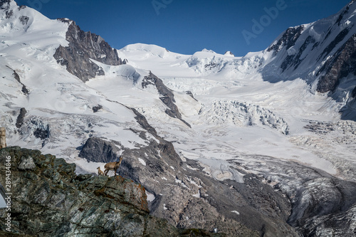 swiss alps mountain © Seth