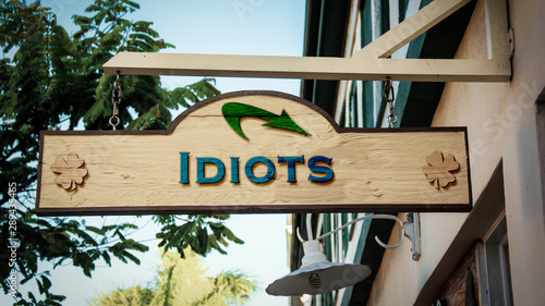 Картината върху платно Street Sign to Idiots