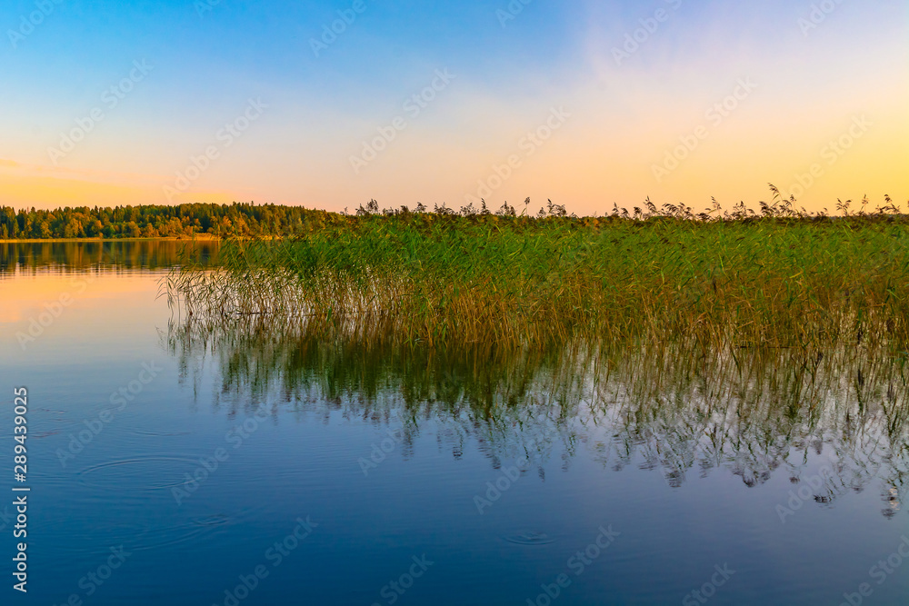 Summer evening on Lake Seliger. Beautiful sunset sky is reflected in the water. Thickets of reeds in the foreground. On the far shore is a forest. Rest and relaxation.