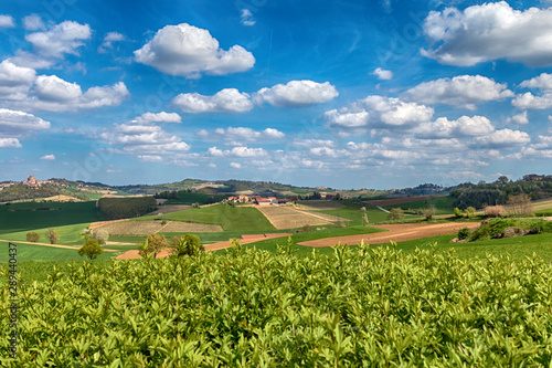 Colline del Monferrato photo